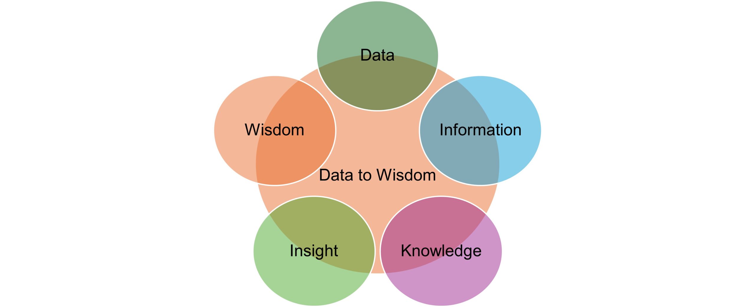 DATA to Wisdom
