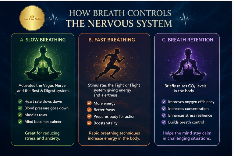 Breath Controls Nervous system